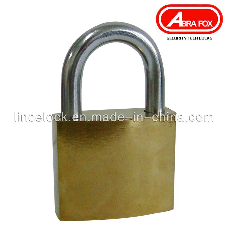 China Different-size Iron Padlock with Brass Cyliner (305B)